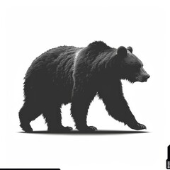 Fototapeta premium silhouette of a bear walking illustration, logo. Generative AI.