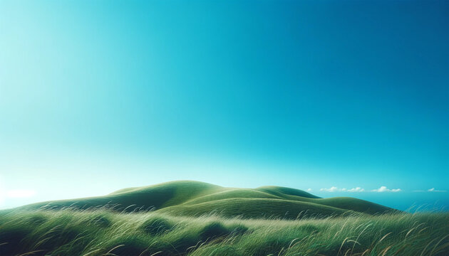 青空の広がる丘