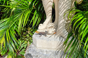 Florida, Miami, Miami Beach, Travel, Landscape, Architecture, Key West, 