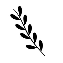 leaf of tree branches