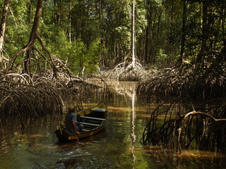 Man rowing a boat in an Amazonian mangrove region