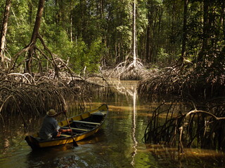 Man rowing a boat in an Amazonian mangrove region