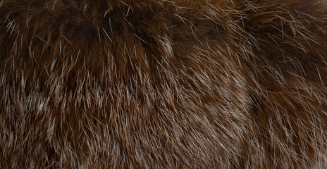 Macro close up of fox fur detail texture