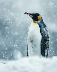 Portrait Penguin Emperor standing on ice in snow fall AI Generative