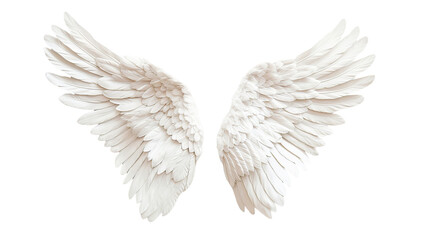 angel wings on transparent background