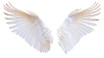 Fotobehang angel wings on transparent background © Doni_Art