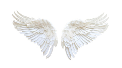 angel wings on transparent background - obrazy, fototapety, plakaty