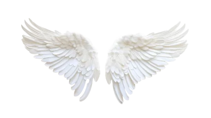 Foto op Plexiglas angel wings on transparent background © Doni_Art