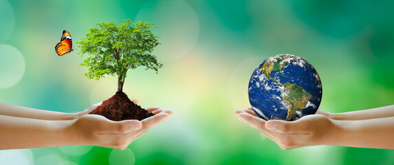 Volunteering hand holding earth and growing tree with butterfly over green blur background. World...