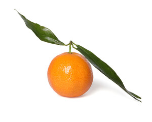 One fresh tangerine with green leaves isolated on white