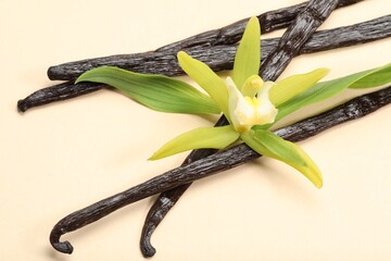 Vanilla pods, beautiful flower and green leaves on beige background