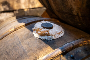 Aging process of cognac spirit in old French oak barrels in cellar in distillery in Cognac white wine region, Charente, Segonzac, Grand Champagne, France