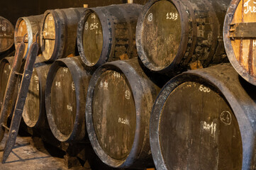 Aging process of cognac spirit in old French oak barrels in cellar in distillery in Cognac white...