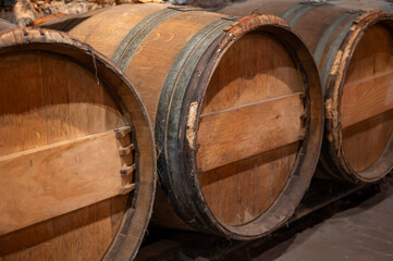 Wine cellar with wooden barrels in old wine domain on Sauternes vineyards in Barsac village affected by Botrytis cinerea noble rot, making of sweet dessert Sauternes wines in Bordeaux, France