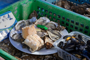 Fresh french Gillardeau oysters molluscs in wooden box ready to eat