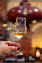 Tasting of cognac spirit aged in old French oak barrels in cellar in distillery in Cognac white wine region, Charente, Segonzac, Grand Champagne, France