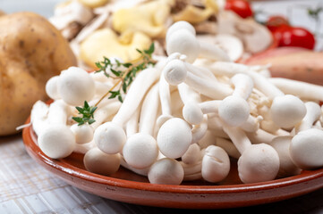 Ingredients for dinner dish with potato and mushrooms with onion. White shimeji edible mushrooms...