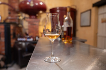 Tasting of cognac spirit aged in old French oak barrels in cellar in distillery in Cognac white wine region, Charente, Segonzac, Grand Champagne, France