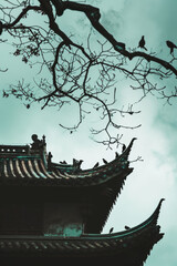 Chinese house with birds and tree branch on the roof miscellaneous illustrations.