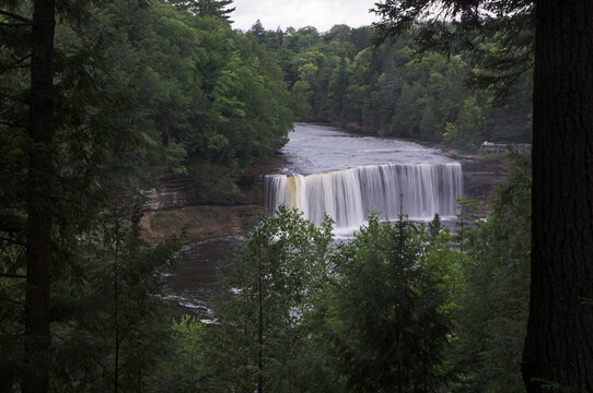 Waterfall in the Forest