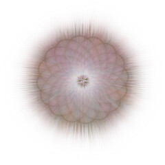 An abstract cut out transparent iridescent star burst design element.