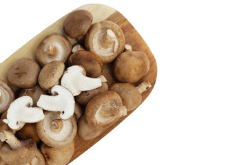 Fresh shiitake mushrooms on white background.