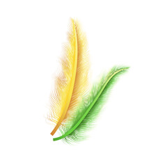 vector feathers realistic set on white background