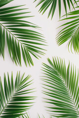 flat lay design with Palm leaves on a white background, bold minimalism