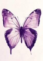 Butterfly with transparent wings on a purple background