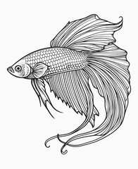 sketch of a fish