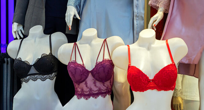 Sexy female lingerie on mannequins