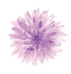 purple flower isolated on white background. watercolor dahlia flower for design. vector
