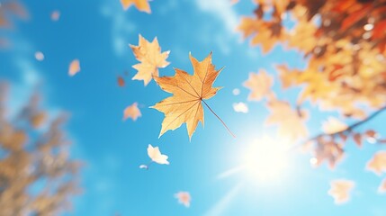 Golden autumn leaves falling gracefully against a bright blue sky, symbolizing change and the fall season.