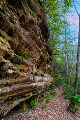 Natural Bridge trail rocks formation at Big South Fork National recreation area