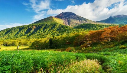 Fototapeta premium 自然