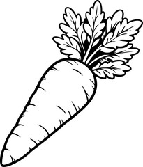 hand drawn vector illustration of an carrot