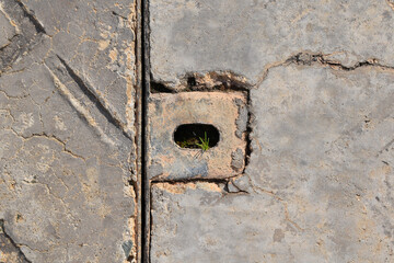 Stamped concrete floor with the drain cover with weeds growing up around it. Grunge and rough background. Cracked old floor. 