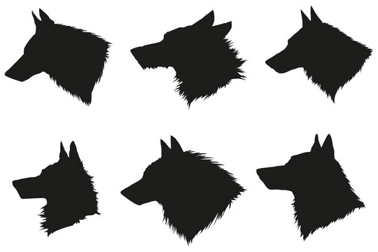 Set of wolf silhouette, howling dog head, wildlife mountain animals vector illustration