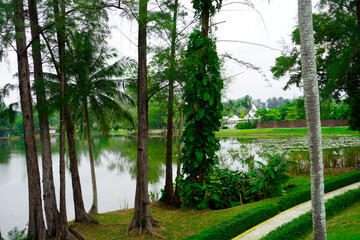 Thailand Phuket island lagoon area. nature and houses, beach and sea