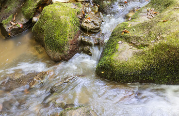 Morning on a mountain river, walking, awakening in nature summer sunny mood.