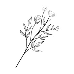 Botanical branch with leaves black and white