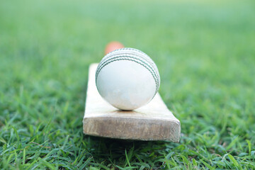 White cricket ball on wooden bat. Concept, sport equipment. Competitive sport. A cricket ball is made with a core of cork, covered by a leather case with a slightly raised sewn seam               