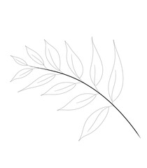 Botanical leaves for simple design 