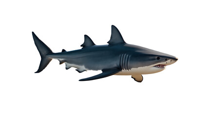 Fototapeta premium Shark isolated on white, shark PNG, shark PNG transparent images, shark wallpaper, blue color, and sea shark animal, Dangerous sea animals