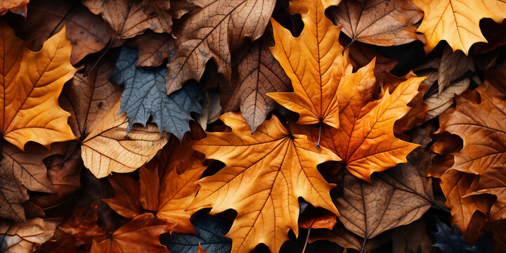Close up of Autumn leaves image in the style of light orange and light crimson.AI Generative