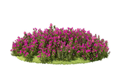 A small garden with shrubs and flowers of various colors. On a transparent background