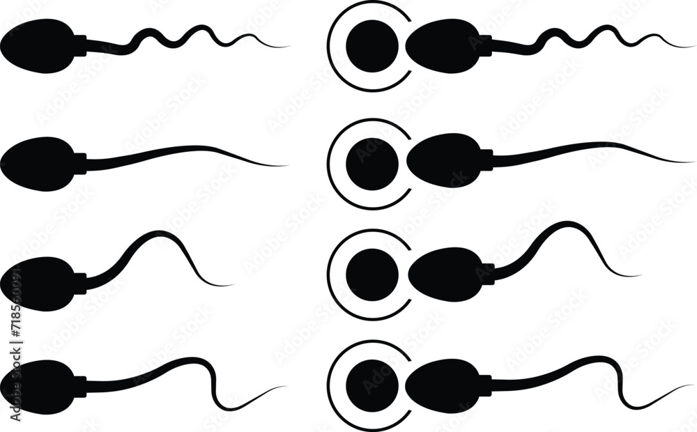 Poster set of abstract spermatozoon icons vectors that runs towards the egg on a transparent background, co