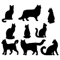 Isolated cats on the white background. cats silhouettes. Vector EPS 10.	