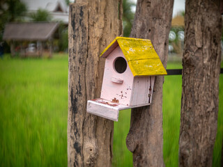 Old bird house or nest box hangs on the wooden fence.