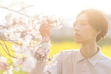 満開の桜を触る男性
